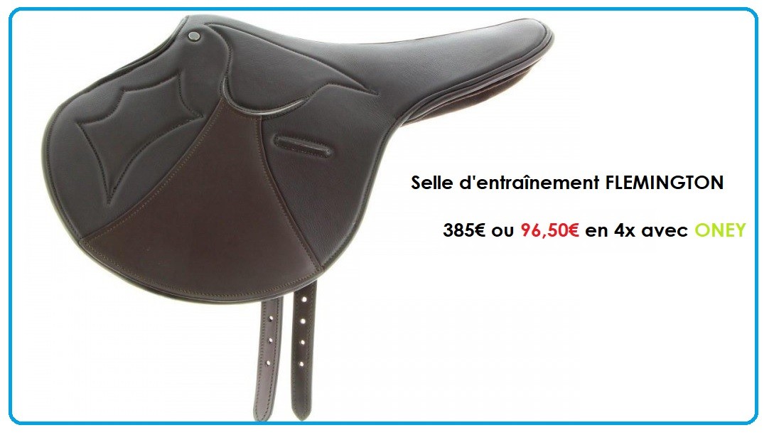 Selle Flemington